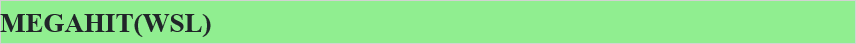 MEGAHIT(WSL)